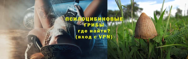 спиды Алзамай