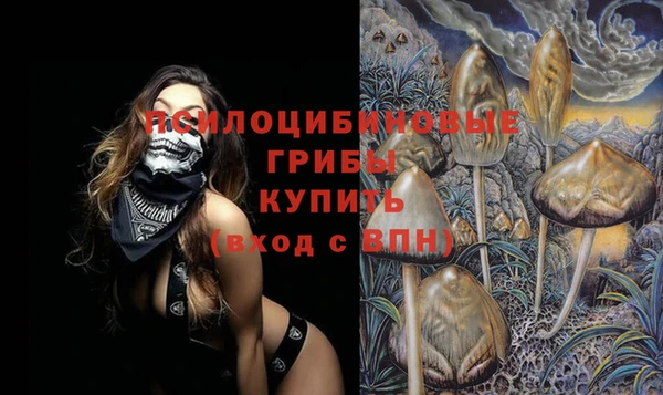 бошки Протвино