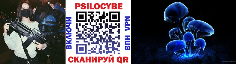 Галлюциногенные грибы Psilocybe  наркотики  Глазов 